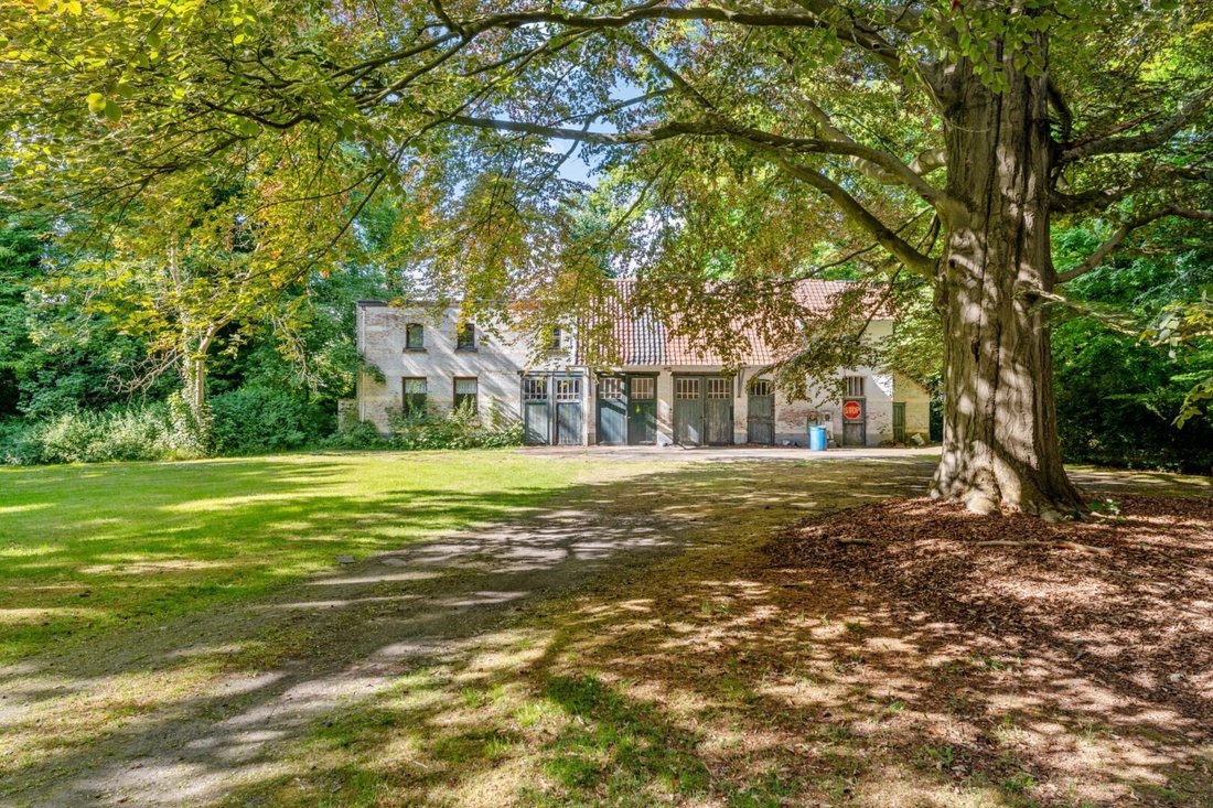 Villa in Hove, Flanders, Belgium 1 - 16660229