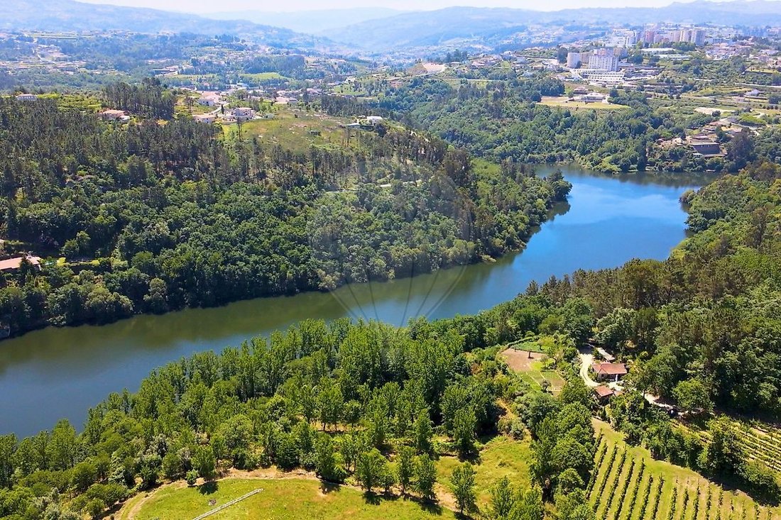 Villa in Santo Isidoro e Livracao, Porto District, Portugal 3 - 16661071