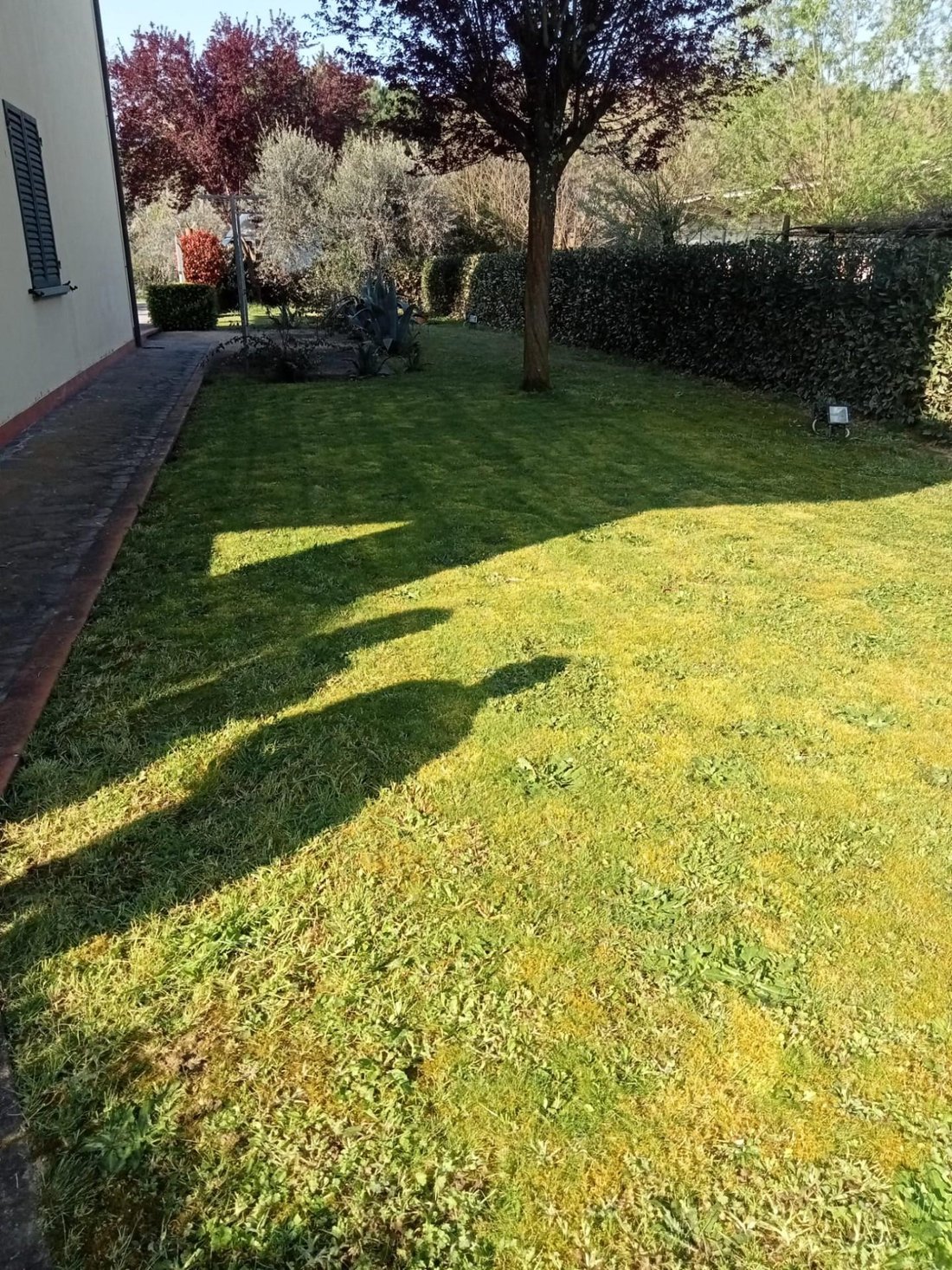Villa in Monterappoli, Empoli, Tuscany 5 - 16663677
