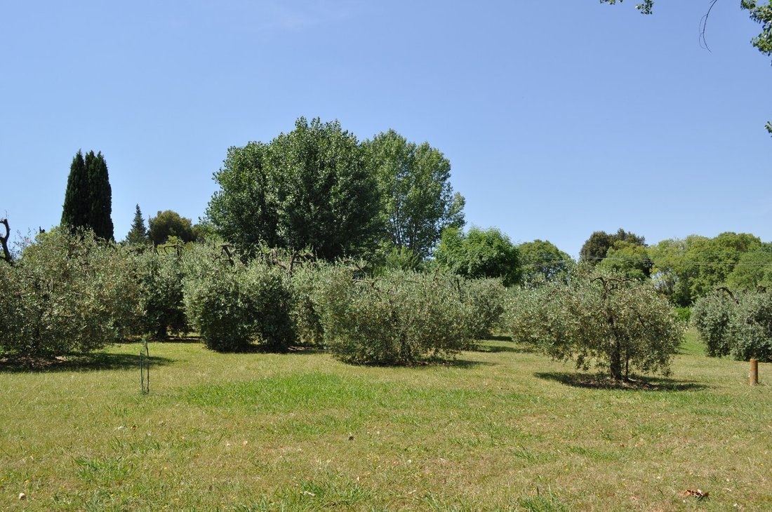 Villa in Monterappoli, Empoli, Tuscany 4 - 16663702