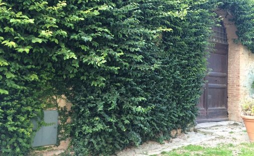 Country House in Center, Vinci, Tuscany 1