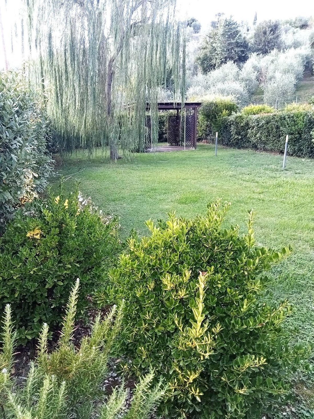 Villa in Spicchio-Sovigliana, Vinci, Tuscany 3 - 16663230