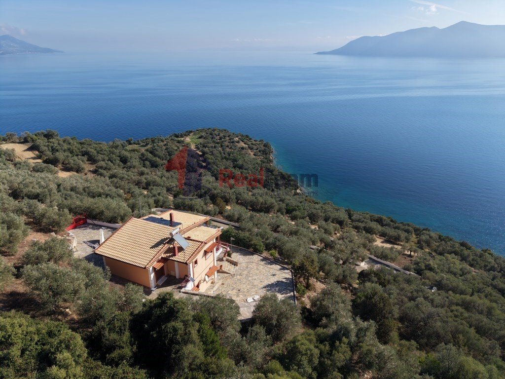 House in Pteleos, Thessaly and Central Greece, Greece 1 - 16665628