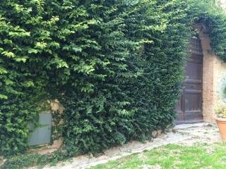 Country House in Center, Vinci, Tuscany 2 - 16663597