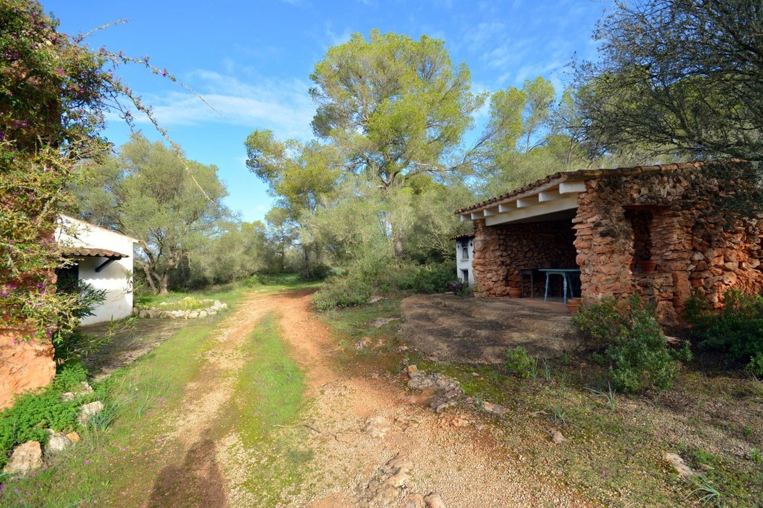 Country House in Palma, Balearic Islands, Spain 5 - 16663862