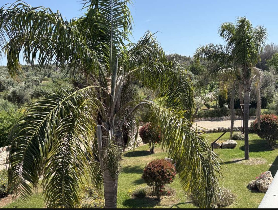 Villa à Specchiolla - Pantanagianni - Morgicchio, Carovigno, Pouilles 4 - 16662018