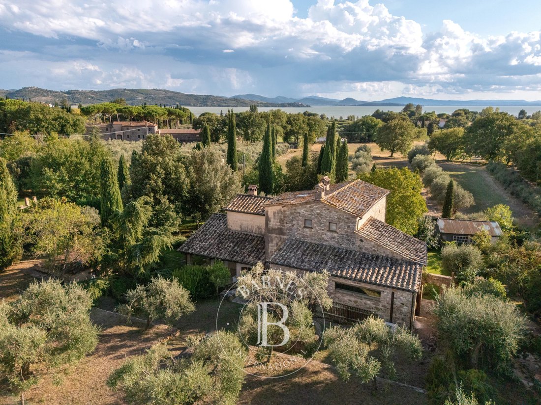 Autres à Passignano sul Trasimeno, Ombrie, Italie 1 - 16661841