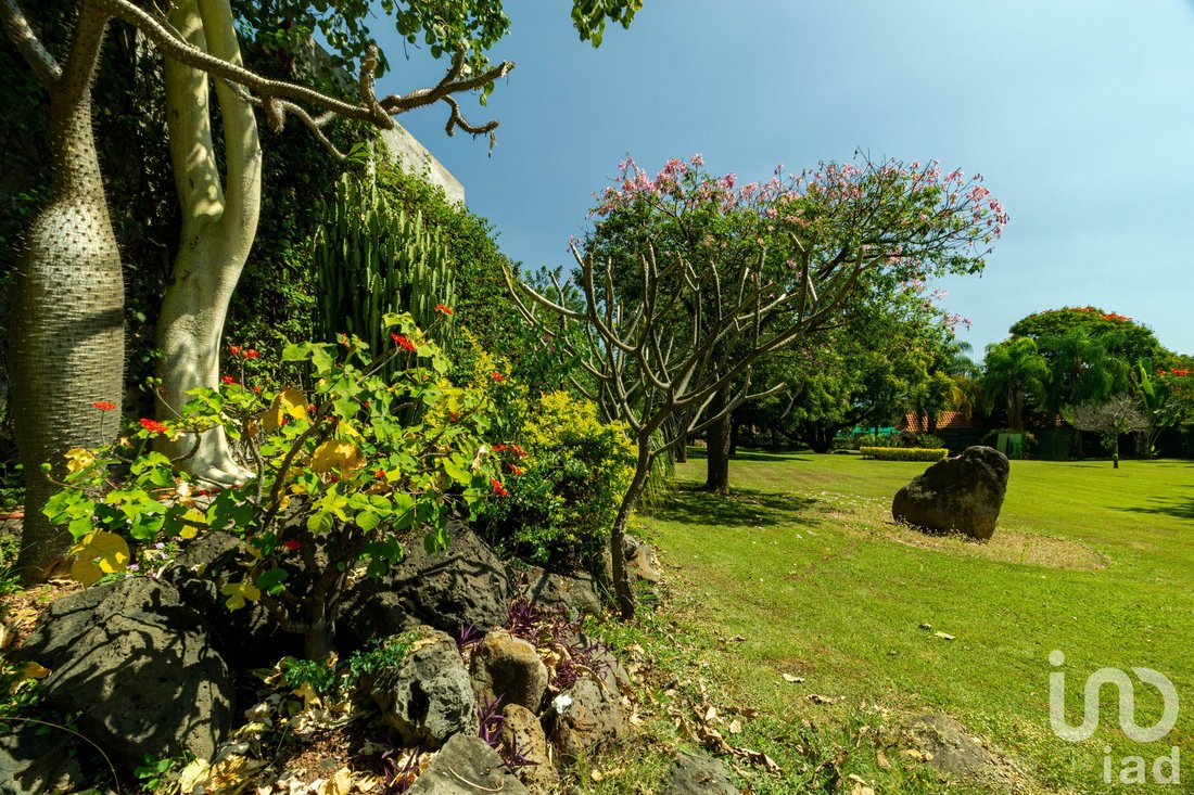 Land in Jiutepec, Morelos, Mexiko 3 - 16104302