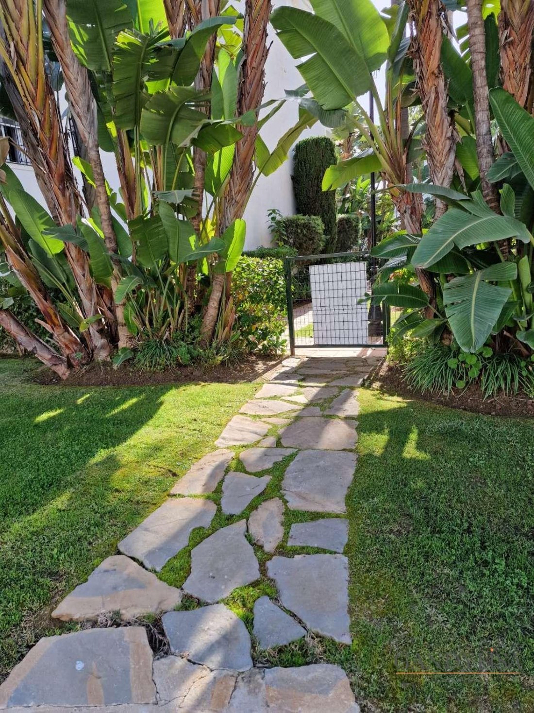 Apartment in Marbella, Andalusia, Spain 5 - 16665882