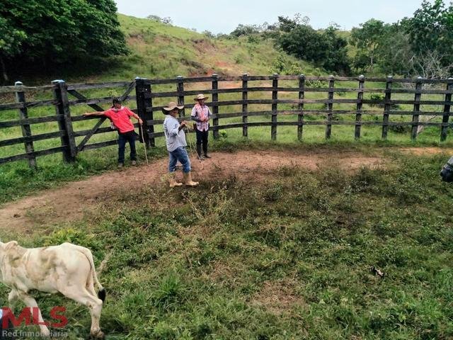 Finca in Necoclí, Antioquia, Colombia 1 - 16661825