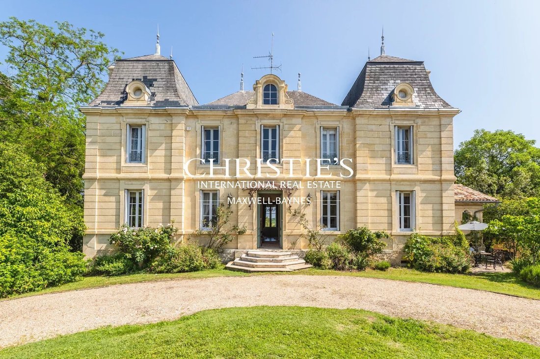 Castle in Blasimon, Nouvelle-Aquitaine, France 4 - 13714591