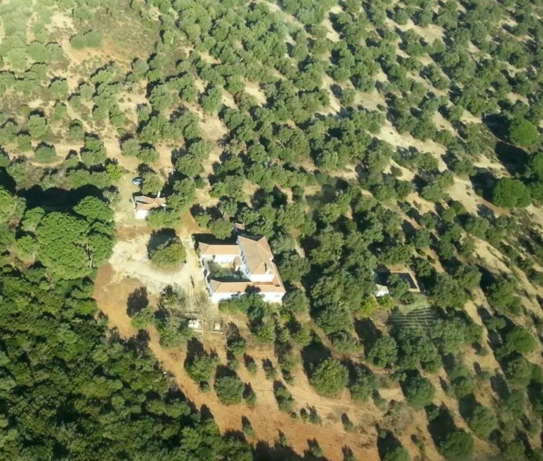 Finca in El Bosque, Andalusia, Spain 3 - 16661935