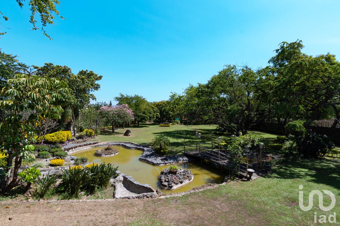 Land in Jiutepec, Morelos, Mexiko 5 - 16104302
