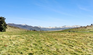 Land in Luggate, Otago, Neuseeland 2