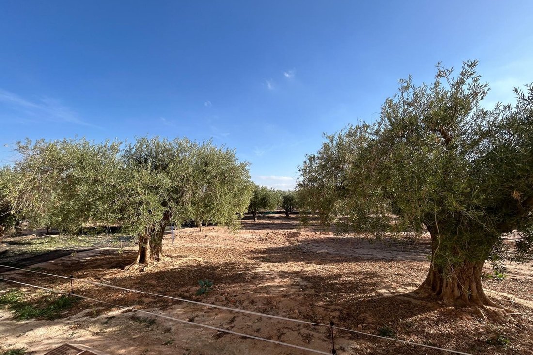 Villa in Cuevas de Reyllo, Fuente Alamo de Murcia, Spain 2 - 16662228