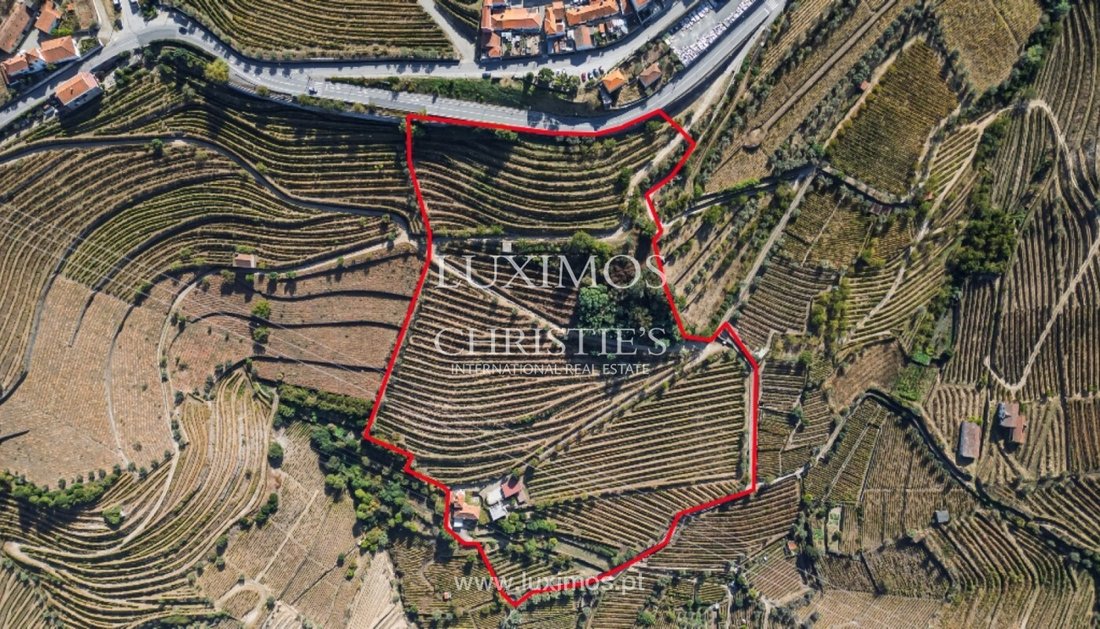 Farm Ranch in Cambres, Viseu District, Portugal 3 - 16662303