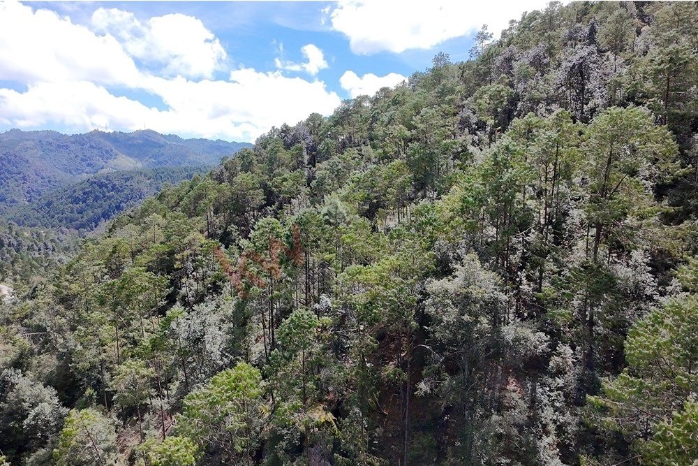 Land in Tlamimilolpa, Hidalgo, Mexico 5 - 16664917