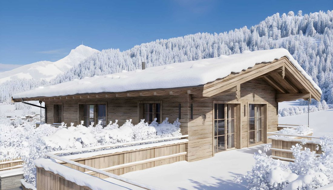 Chalet in Going am Wilden Kaiser, Tyrol, Austria 3 - 13714065