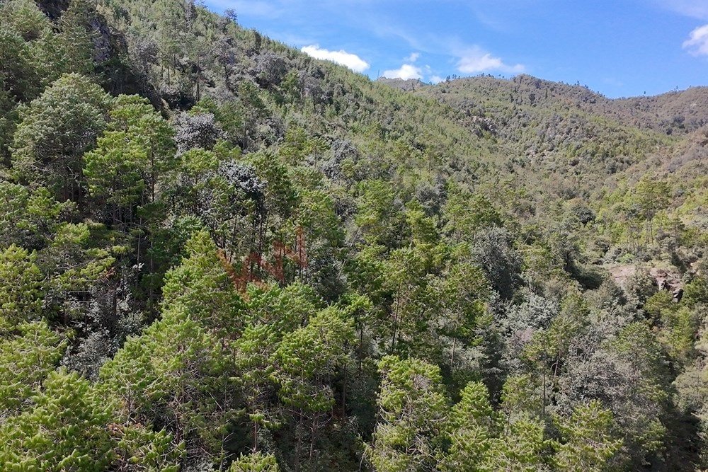Land in Tlamimilolpa, Hidalgo, Mexico 4 - 16664917
