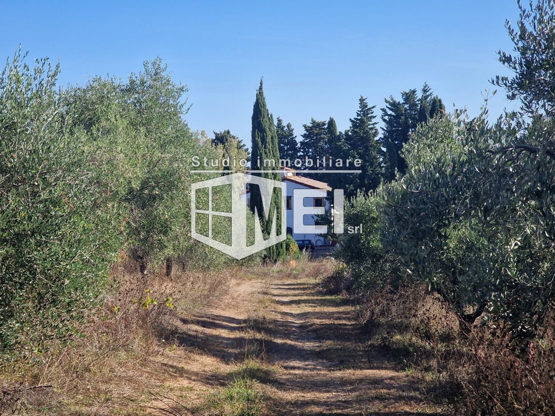 Country House in Fauglia, Tuscany, Italy 2 - 16663304