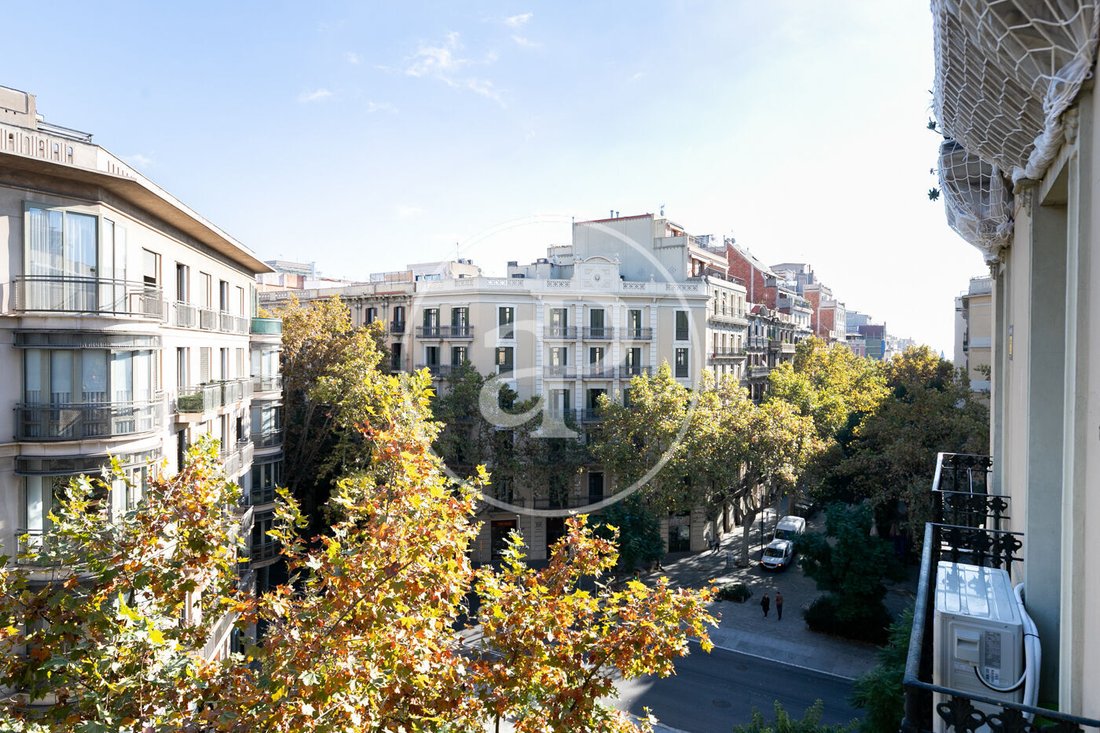Apartment in Eixample, Barcelona, Spain 1 - 16666191