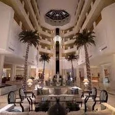 Hammamet, Nabeul, Tunisia 3 - 16662051