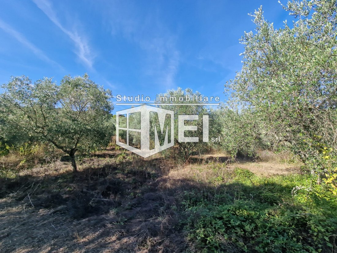 Country House in Fauglia, Tuscany, Italy 5 - 16663304