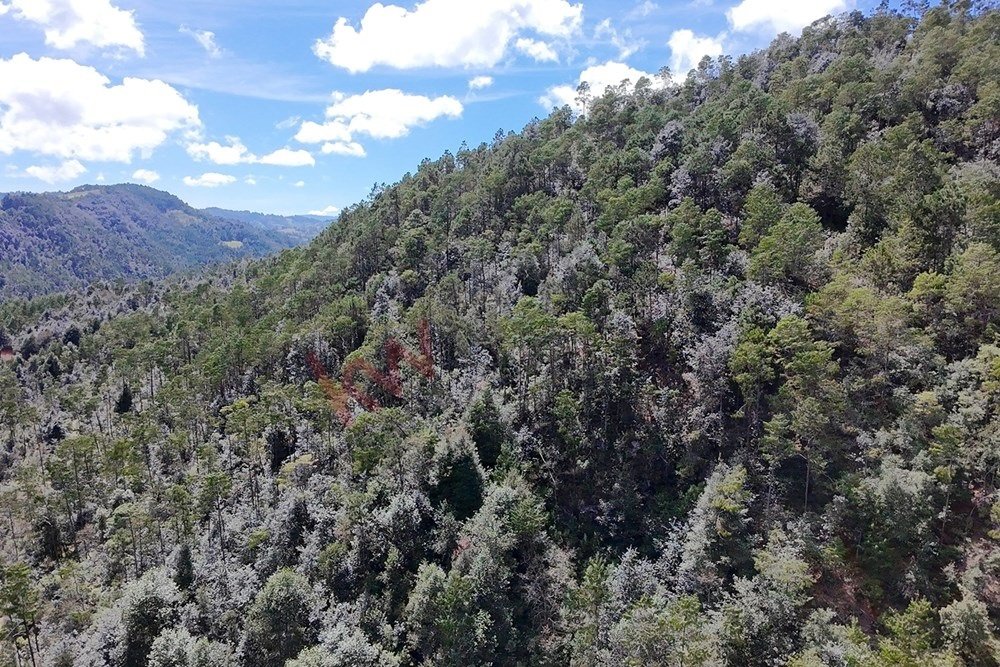 Land in Tlamimilolpa, Hidalgo, Mexico 2 - 16664917
