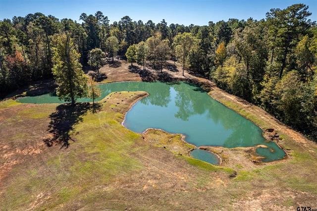 House in Tyler, Texas, United States 5 - 16661293