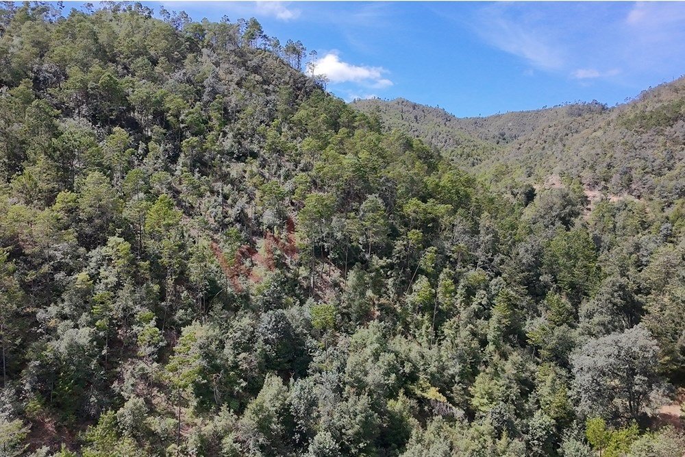 Land in Tlamimilolpa, Hidalgo, Mexico 3 - 16664917