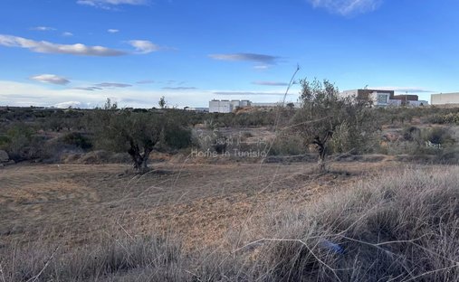 Land in Kalaa Kebira, Gouvernement Sousse, Tunesien 1
