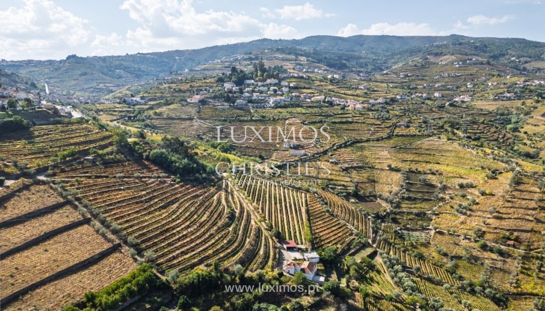 Farm Ranch in Cambres, Viseu District, Portugal 1 - 16662303