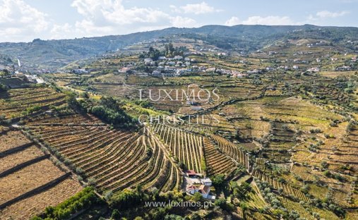 Farm Ranch in Cambres, Viseu, Portugal 1