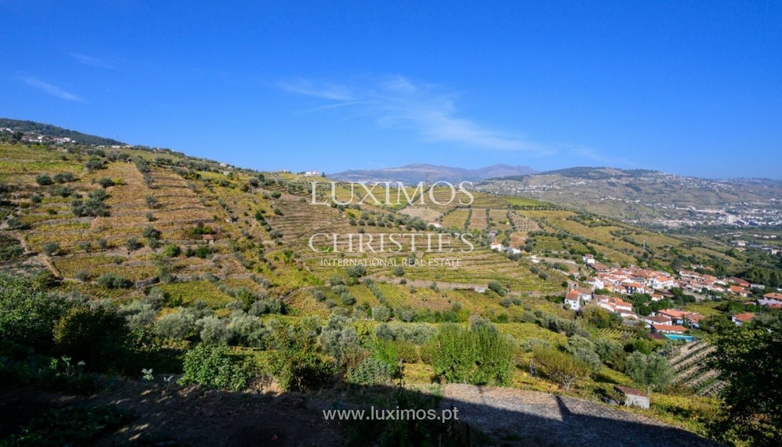 Farm Ranch in Cambres, Viseu District, Portugal 2 - 16662303