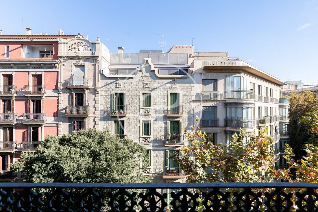 Apartment in Eixample, Barcelona, Spain 3 - 16666191