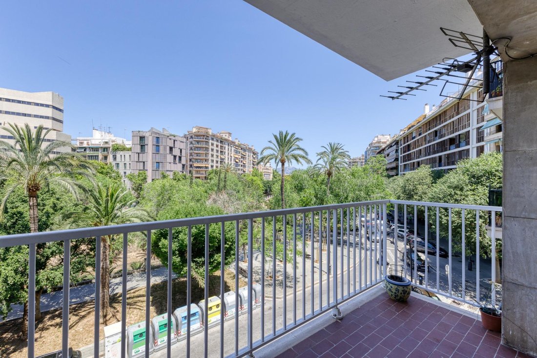 Apartment in Palma, Balearic Islands, Spain 2 - 14308603