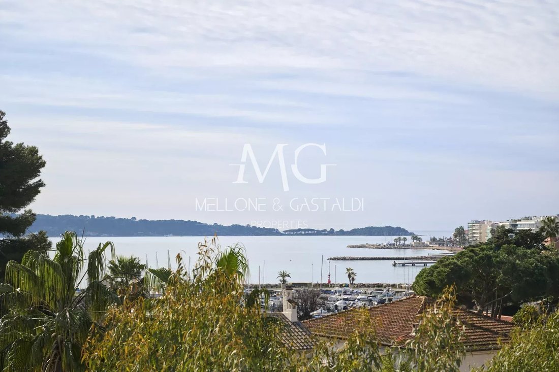 Apartment in Cannes, Provence-Alpes-Côte d'Azur, France 2 - 14531865