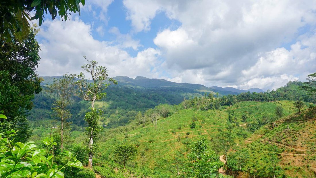 Land in Deniyaya, Southern Province, Sri Lanka 2 - 16666858