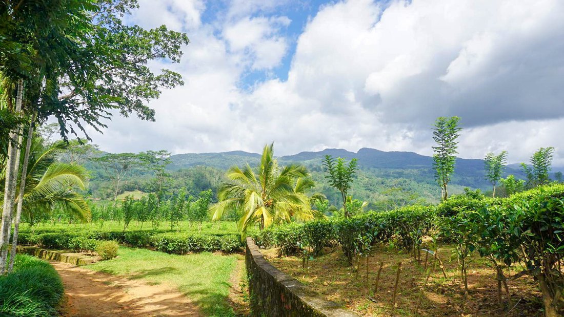 Land in Deniyaya, Southern Province, Sri Lanka 4 - 16666858
