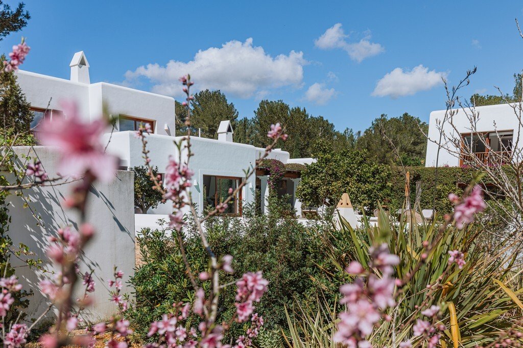 Villa in Santa Eularia des Riu, Balearic Islands, Spain 4 - 16666334