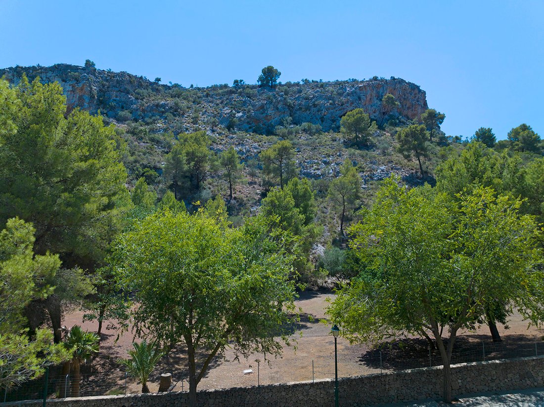 Land in Son Vida, Palma, Balearic Islands 4 - 16666489