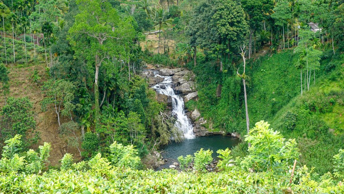 Land in Deniyaya, Southern Province, Sri Lanka 1 - 16666858