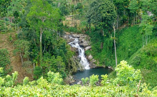 Land in Deniyaya, Southern Province, Sri Lanka 1