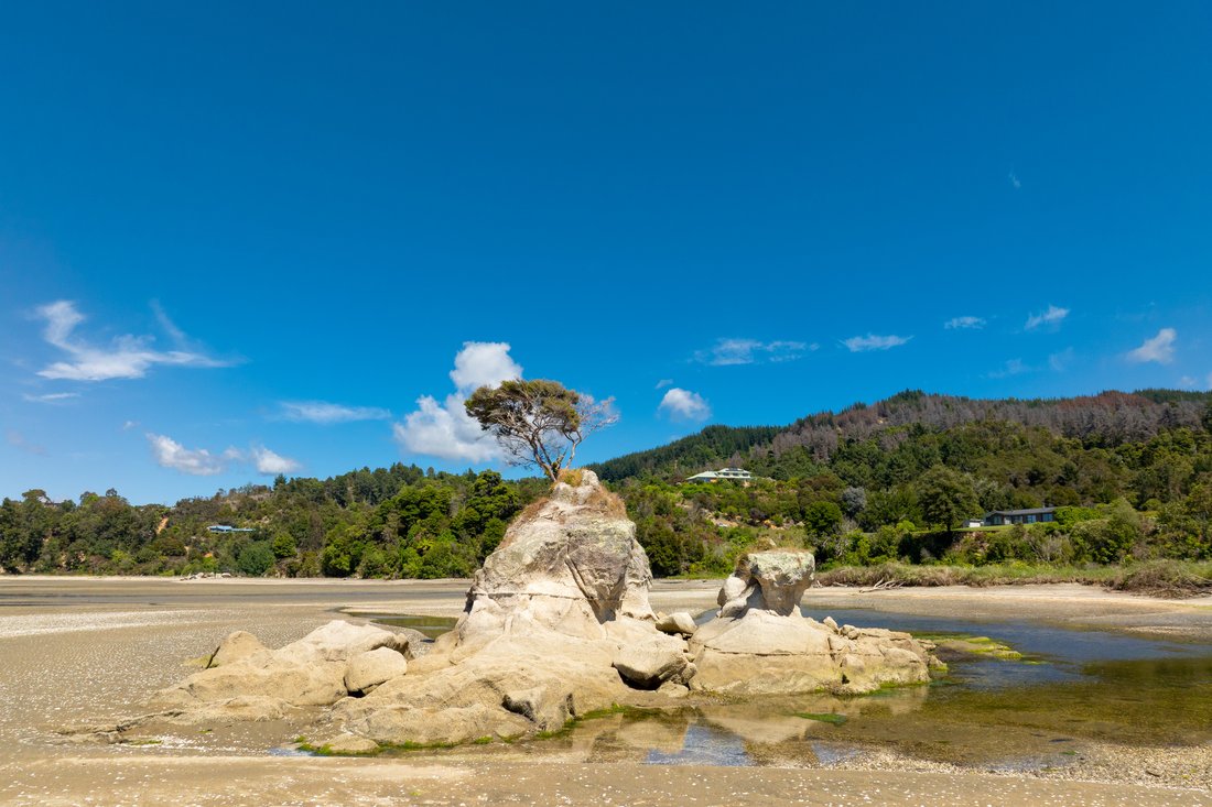 Kaiteriteri, Tasman, New Zealand 2 - 16666995