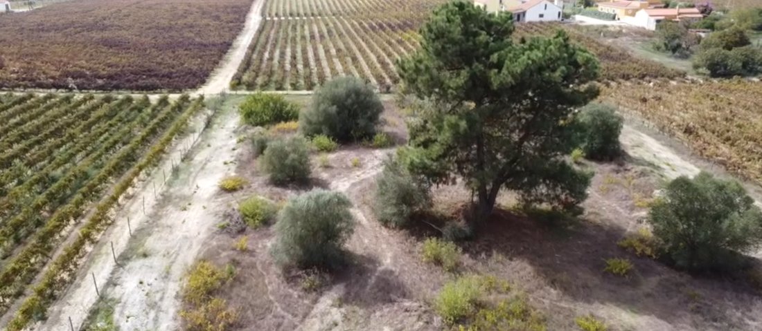 Land in Palmela, Setubal, Portugal 5 - 16667073