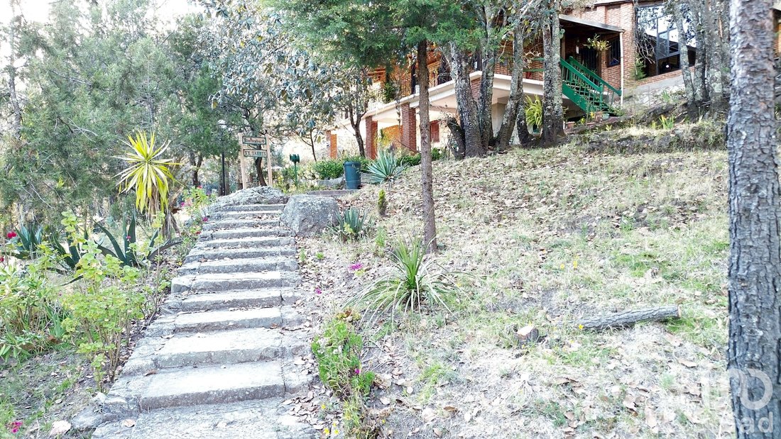 Land in Ciénega Larga, Hidalgo, Mexico 2 - 16667828
