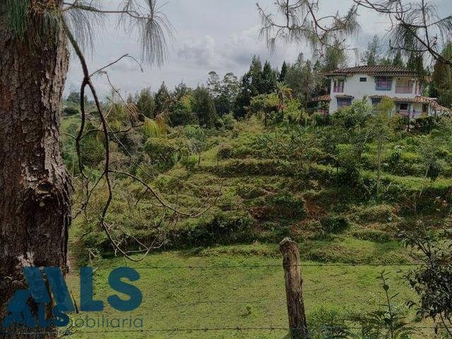 Finca in Rionegro, Rionegro, Colombia 5 - 16667449