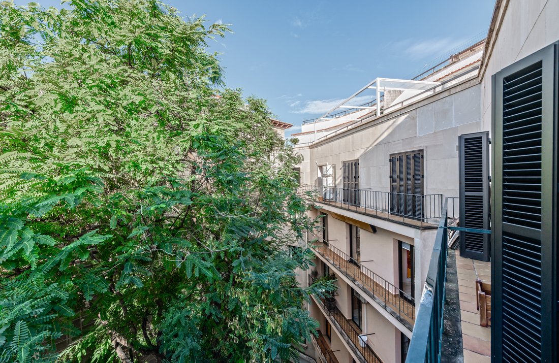 Apartment in Palma, Balearic Islands, Spain 1 - 16667350