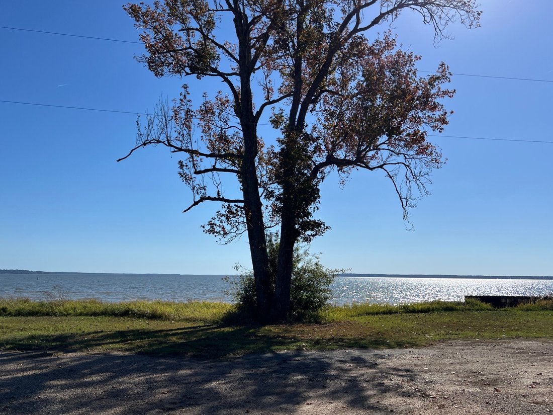 Land in Converse, Louisiana, United States 1 - 16667182