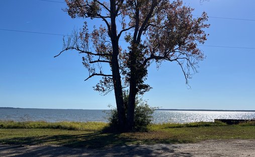 Land in Converse, Louisiana, United States 1